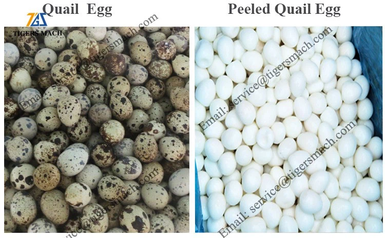 product-750-464