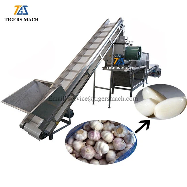 Garlic powder process plant