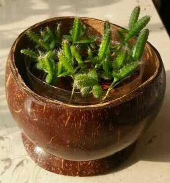 info-339-363 info-339-363